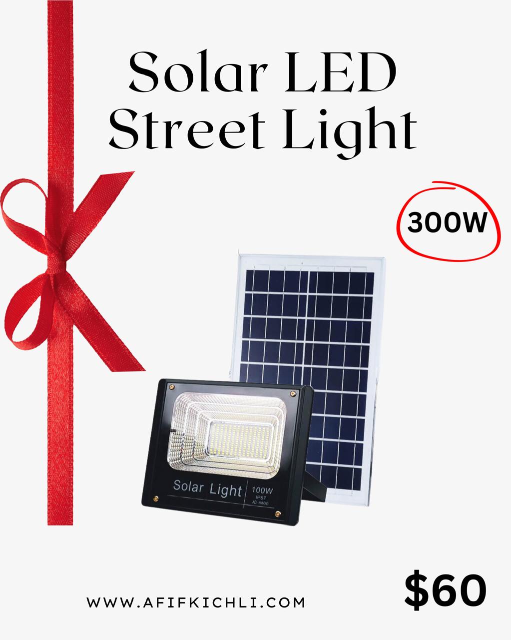 Project 300 Watts Solar