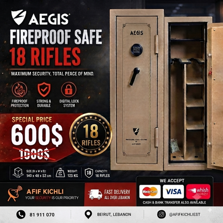 Electronic Safes